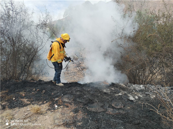 Gobierno Municipal de Chihuahua controla incendio de pastizal en carretera a Aldama - imagen 5