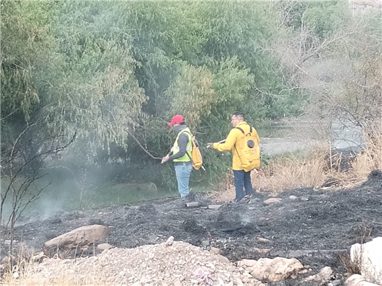 Sofocan incendio de pastizal en carretera Chihuahua–Aldama - imagen 4