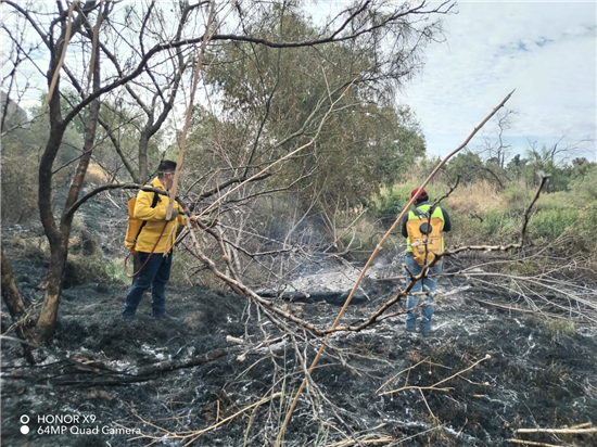 Sofocan incendio de pastizal en carretera Chihuahua–Aldama - imagen 6