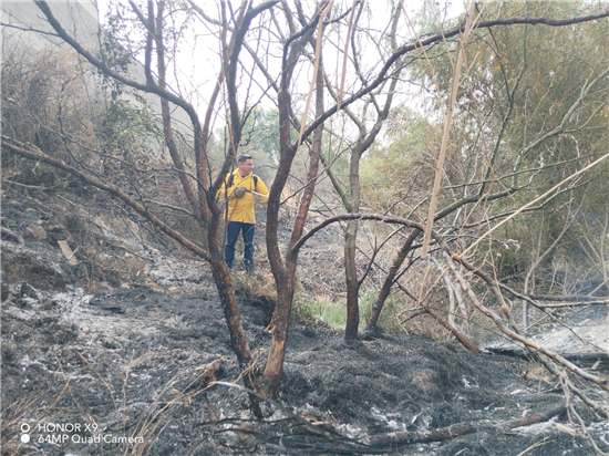 Sofocan incendio de pastizal en carretera Chihuahua–Aldama - imagen 7