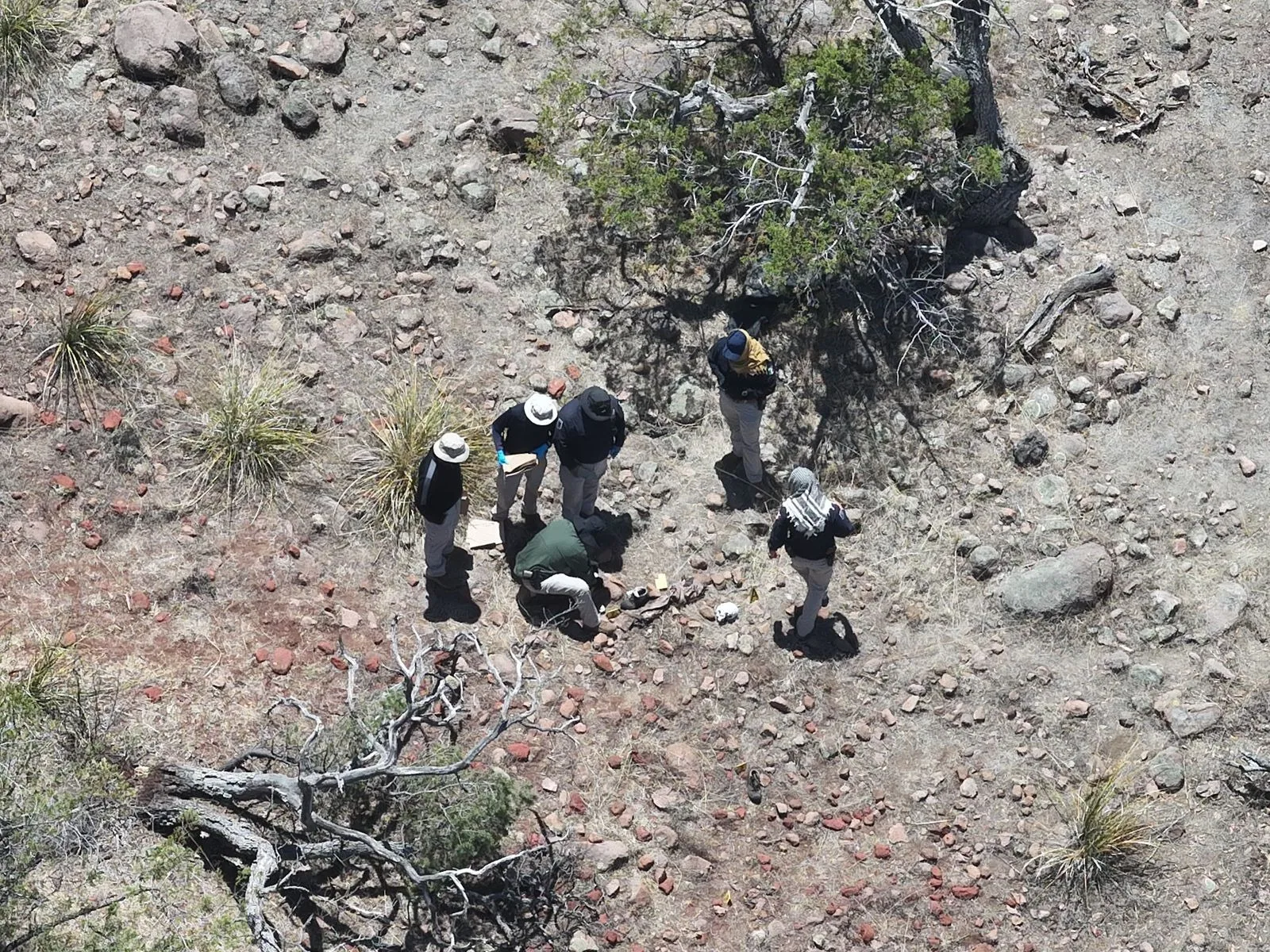 Hallan restos óseos humanos en ejido Cocomorachi, municipio de Temósachic