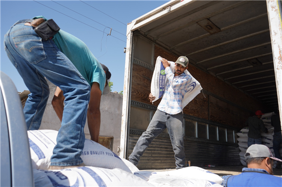 Chihuahua distribuye 253 toneladas de alimento para ganado en comunidades rurales del municipio - imagen 1