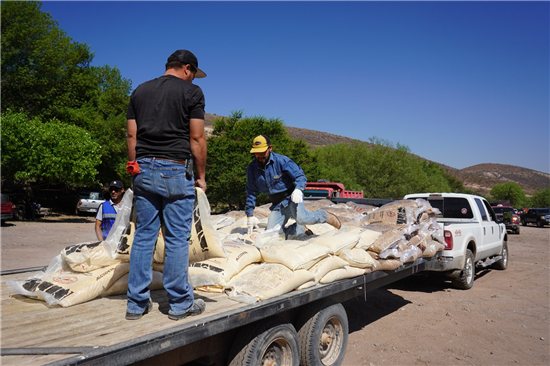 Chihuahua distribuye 253 toneladas de alimento para ganado en comunidades rurales del municipio - imagen 2