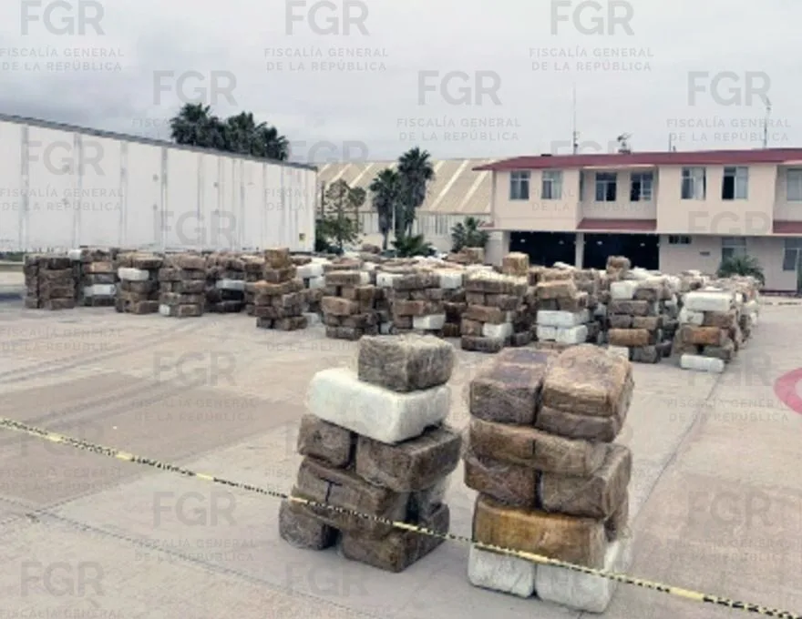 FGR incinera más de 12 toneladas de marihuana en Ensenada, Baja California - imagen 4