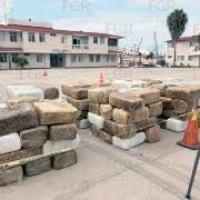 FGR incinera más de 12 toneladas de marihuana en Ensenada, Baja California - imagen 7