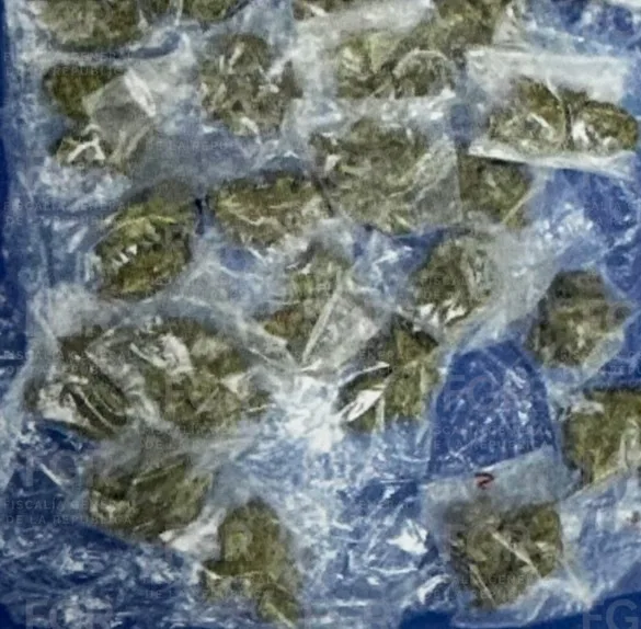 Vinculan a proceso a dos hombres detenidos con armas, marihuana y cristal en Santa María del Río, SLP