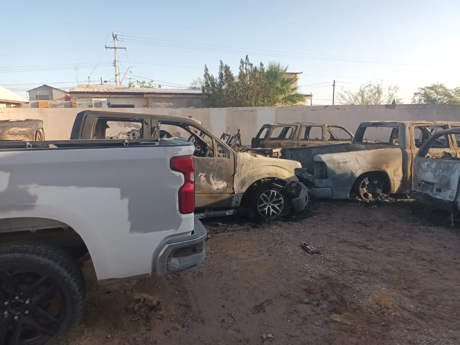 Fiscalía investiga incendio en oficinas del Ministerio Público de Ojinaga; seis vehículos quedaron calcinados - imagen 2