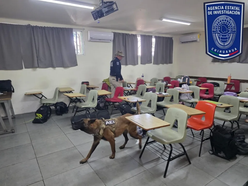 Operación Mochila en Bachilleres de Jiménez: aseguran vapeadores con wax y posible marihuana entre 256 alumnos