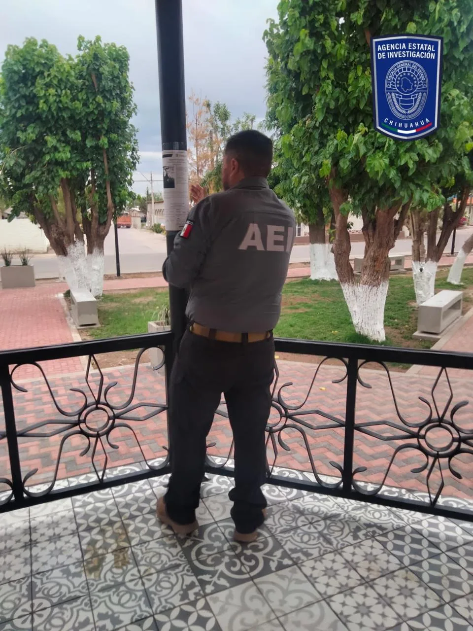 Fiscalía de Chihuahua despliega operativo en Janos para localizar a Silvia Palmira Ramírez, desaparecida desde febrero