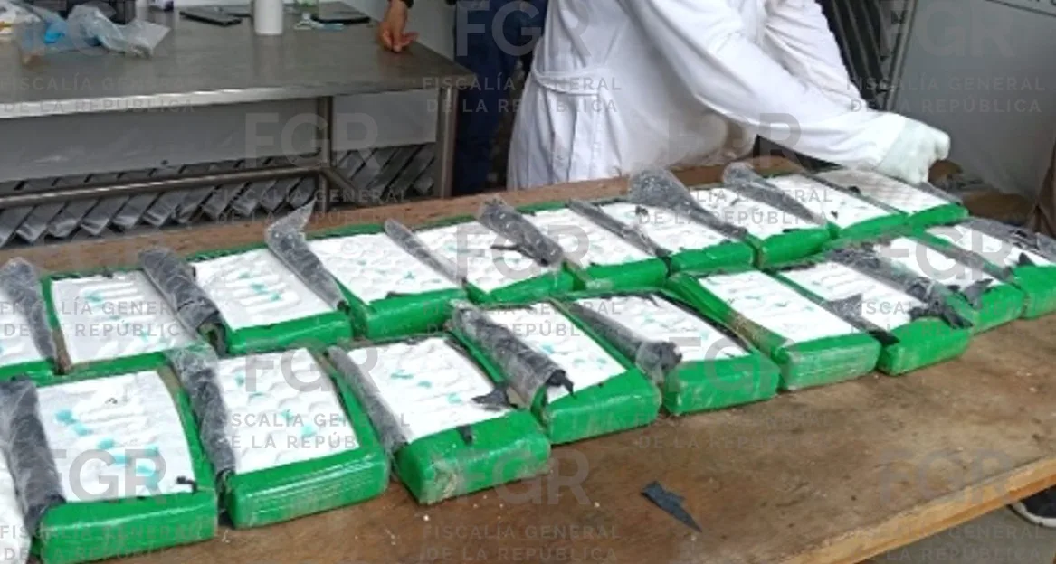 FGR incinera más de 360 kilos de cocaína en Tapachula, Chiapas