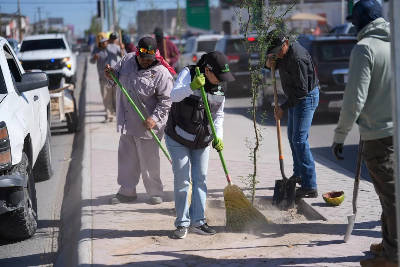 Plantan 175 árboles de huizache en la avenida De los Aztecas de Ciudad Juárez - imagen 8