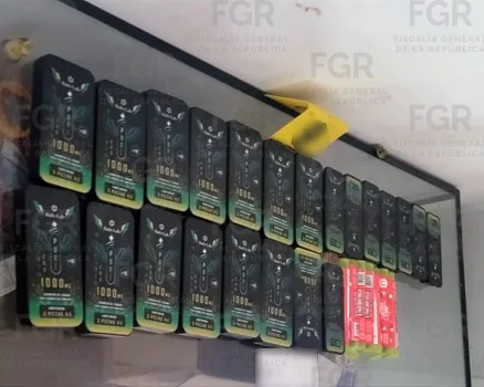 FGR realiza cateo en Guadalupe, Nuevo León, y asegura marihuana y dinero en efectivo - imagen 4