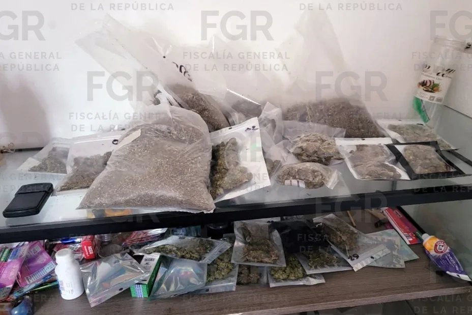 FGR realiza cateo en Guadalupe, Nuevo León, y asegura marihuana y dinero en efectivo