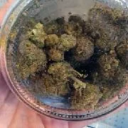 FGR realiza cateo en Guadalupe, Nuevo León, y asegura marihuana y dinero en efectivo - imagen 3