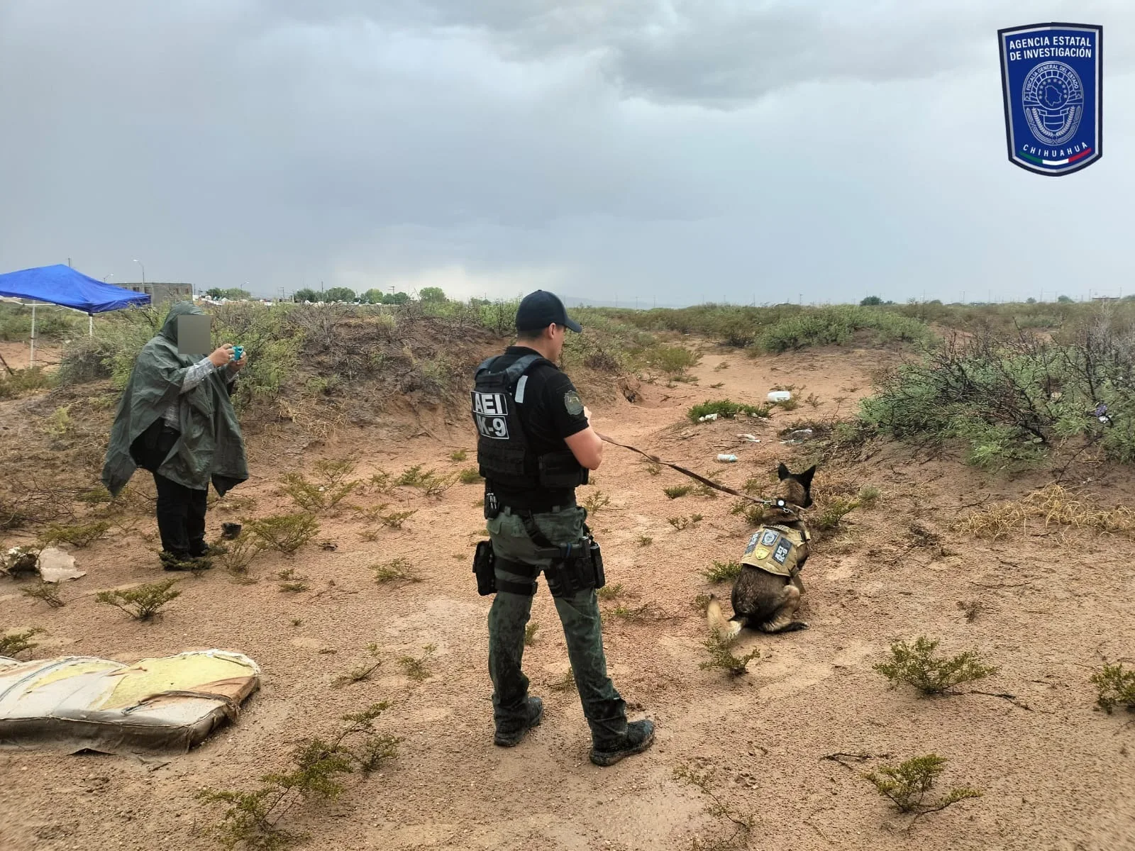 Hallan fosa clandestina con osamenta en colonia Senderos de San Isidro, en Ciudad Juárez - imagen 1