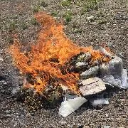 FGR Hidalgo realiza incineración de narcóticos y destrucción de objetos relacionados con delitos federales - imagen 7
