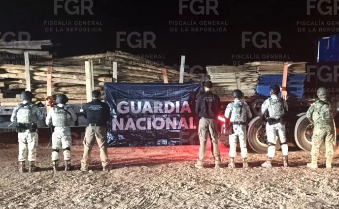 FGR vincula a proceso a presunto traficante de madera en Baja California Sur - imagen 2