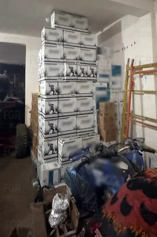 FGR asegura inhibidores de señal y mercancía en cateo en San Luis Potosí - imagen 2