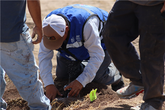 Chihuahua refuerza su imagen urbana con nuevo sistema de riego y reforestación en el talud Homero - imagen 6