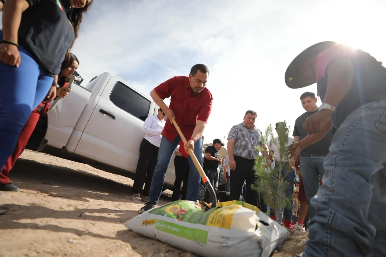 Juárez refuerza limpieza y reforestación en colonia Juanita Luna - imagen 7