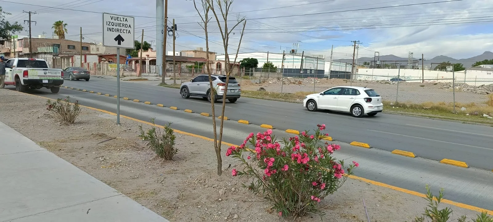 Reforestan avenida Tecnológico con 80 árboles para mejorar áreas verdes en Ciudad Juárez - imagen 2