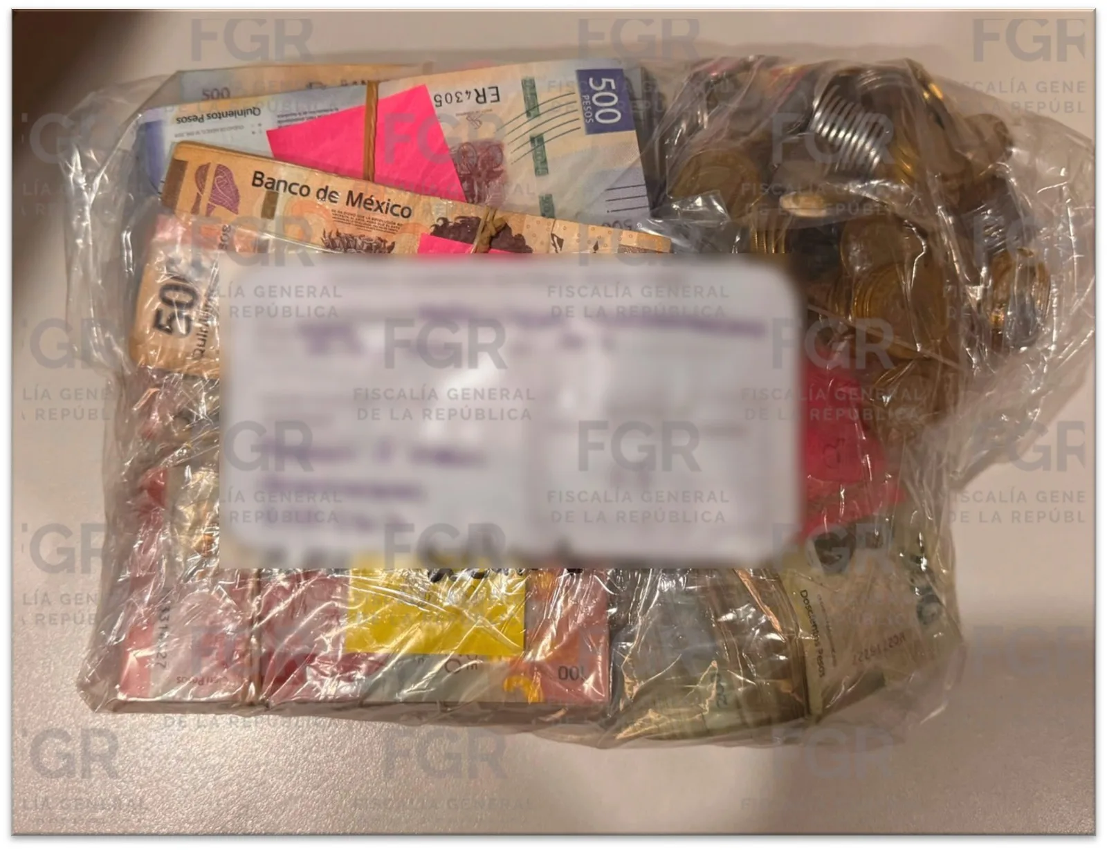 FGR desmantela organización delictiva 'Del Caballito' dedicada a lavado de dinero y facturación falsa en México - imagen 20