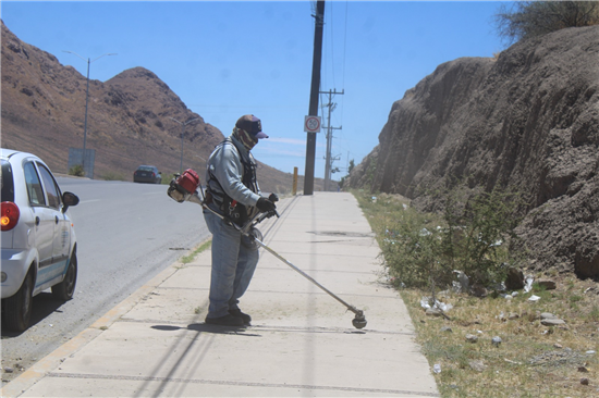 Gobierno Municipal limpia más de 130 mil metros lineales de calles en el sur de Chihuahua durante mayo - imagen 1
