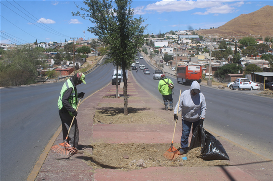 Gobierno Municipal limpia más de 130 mil metros lineales de calles en el sur de Chihuahua durante mayo - imagen 3