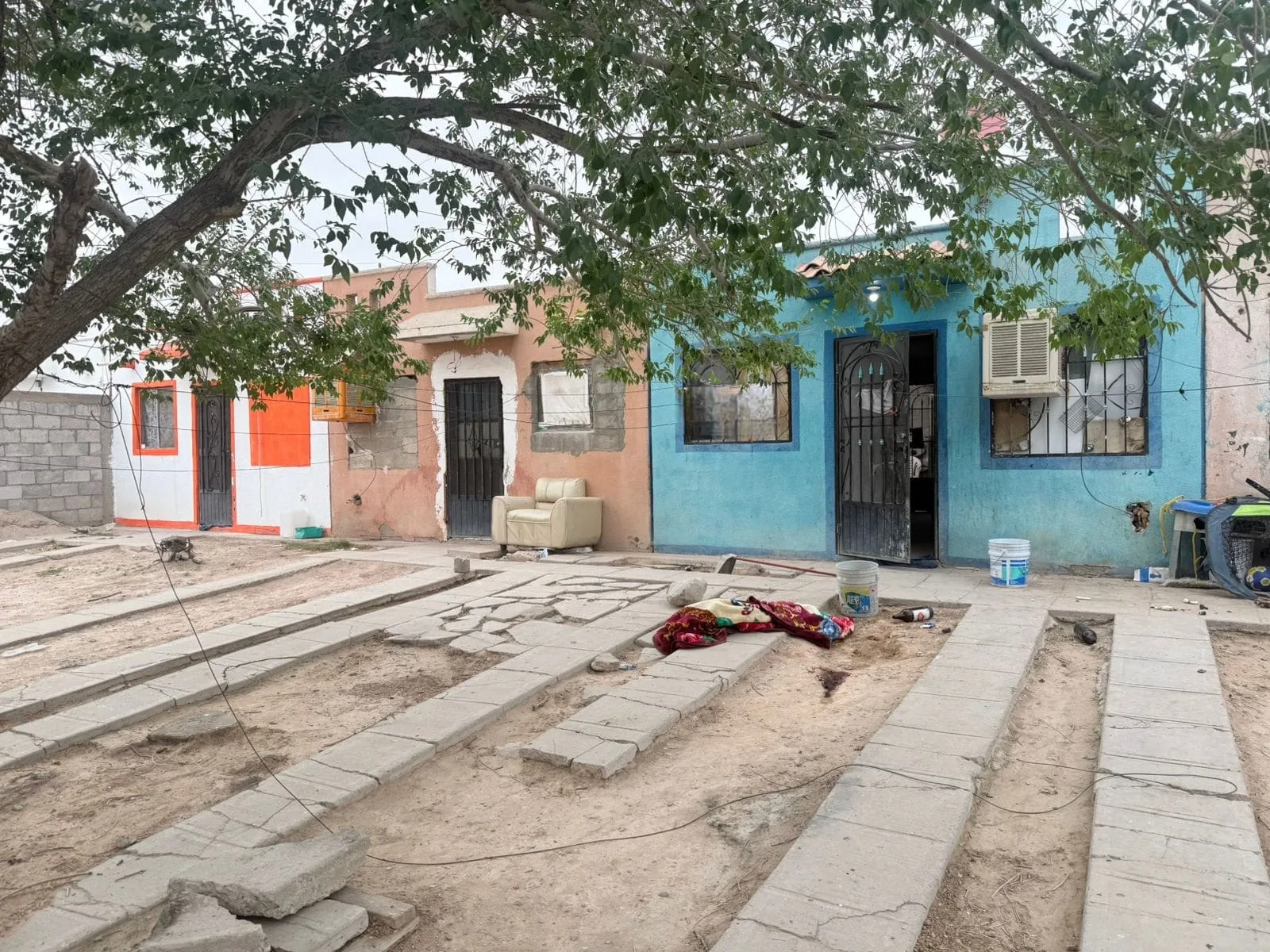 Audiencia por muerte de perro french poodle en fraccionamiento Palmas del Sol fija plazo para cierre de investigación