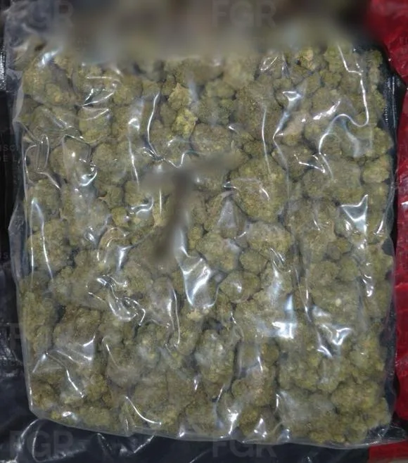 Detienen en Zacatecas a conductor con más de 650 kg de marihuana y metanfetaminas - imagen 4