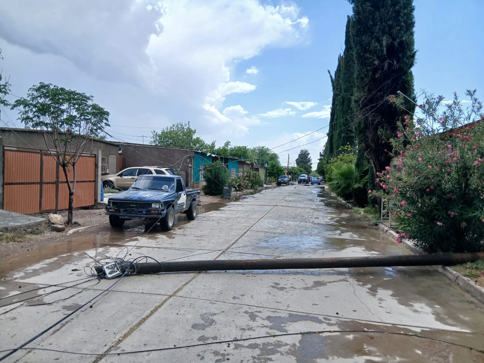 Protección Civil atiende 28 incidencias por lluvias en Chihuahua; Juárez concentra la mayoría de los reportes - imagen 4