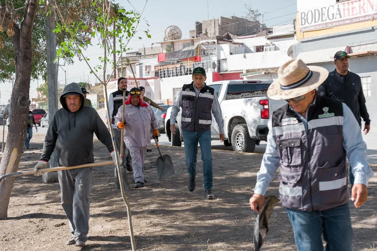 Reforestan 2.46 km del bulevar Norzagaray con 80 fresnos en Ciudad Juárez - imagen 5