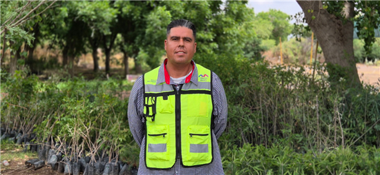Consejos para cuidar árboles y plantas en Chihuahua por el Día Mundial del Medio Ambiente - imagen 2