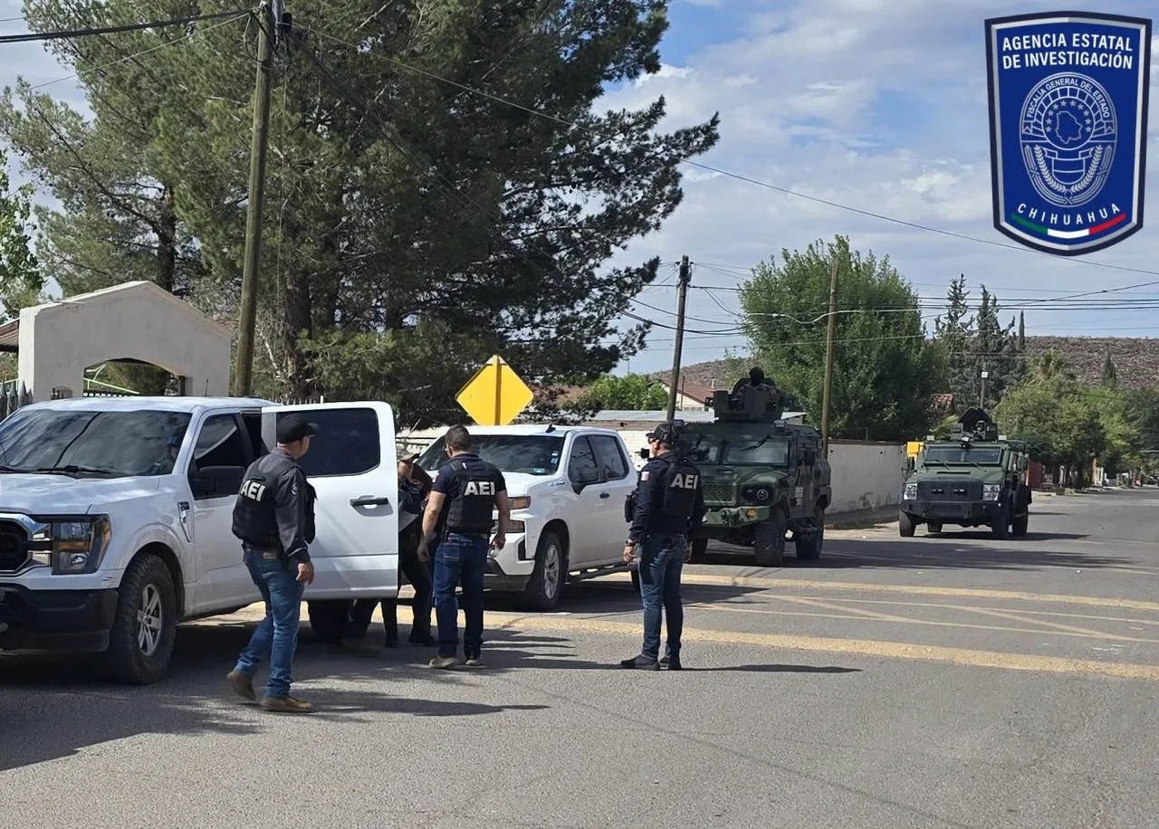 FGE despliega operativo de pega de pesquisas en Janos y Ascensión, Chihuahua - imagen 5