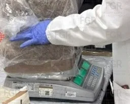 FGR incinera más de 300 kg de narcóticos en Estado de México - imagen 8