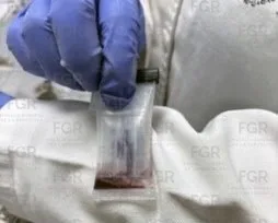 FGR incinera más de 300 kg de narcóticos en Estado de México - imagen 4
