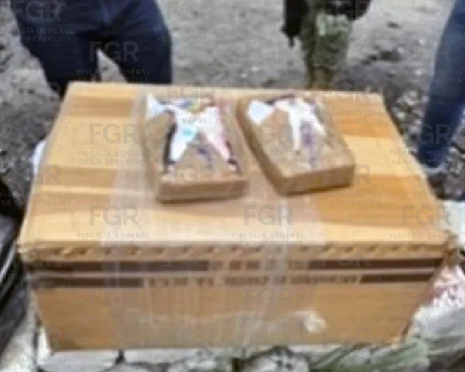 FGR incinera más de 300 kg de narcóticos en Estado de México - imagen 10