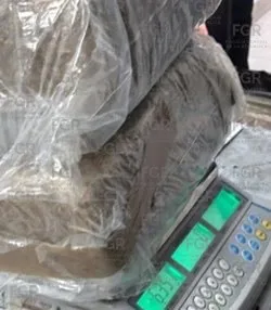 FGR incinera más de 300 kg de narcóticos en Estado de México - imagen 16