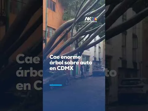 Árbol cae sobre auto en Santa María la Ribera tras fuertes lluvias en CDMX
