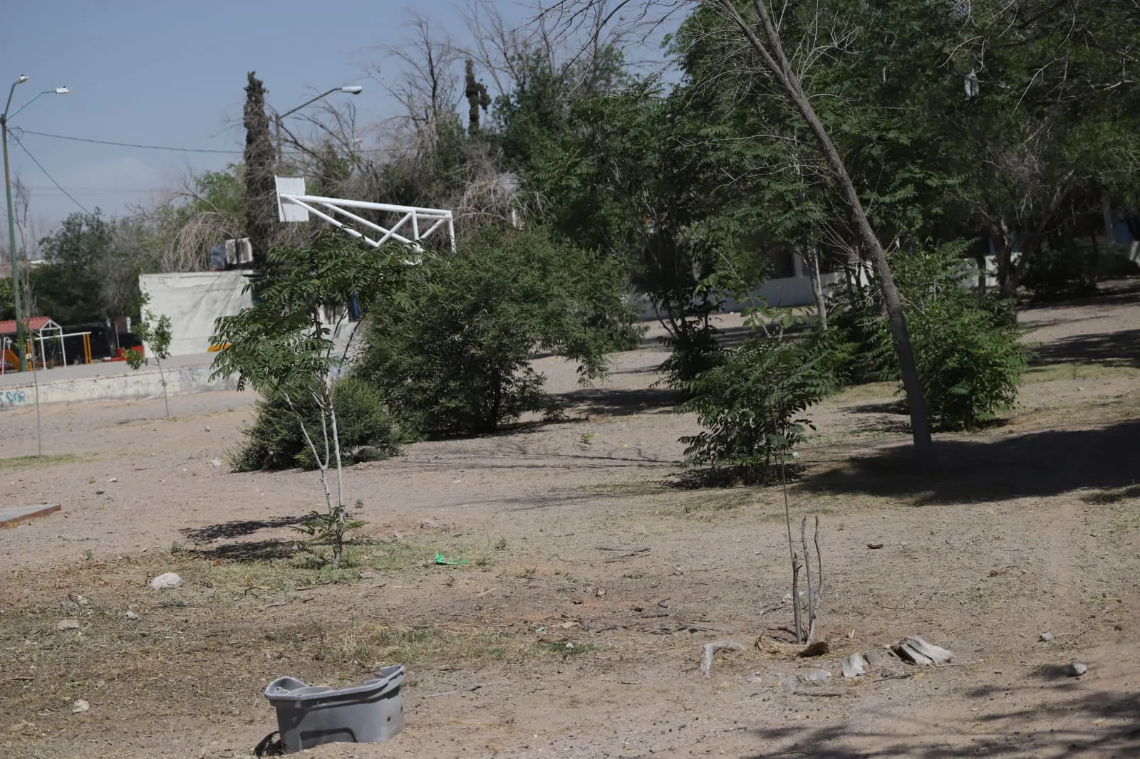 Limpian parque en fraccionamiento Morelos para mejorar espacios públicos en el suroriente de Juárez - imagen 1