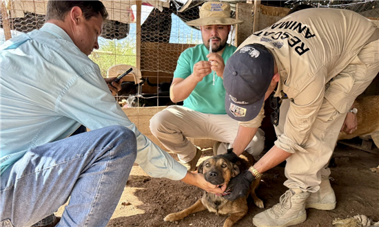 Coordinación de Medio Ambiente y Protección Animal en Chihuahua cumple un año con miles de acciones ciudadanas - imagen 3