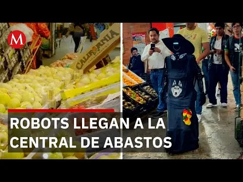 Robots humanoides prueban sus capacidades en la Central de Abastos sin reemplazar a trabajadores