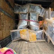 FGR obtiene sentencia de más de ocho años de prisión por transporte de 930 kilos de marihuana en Tabasco - imagen 3