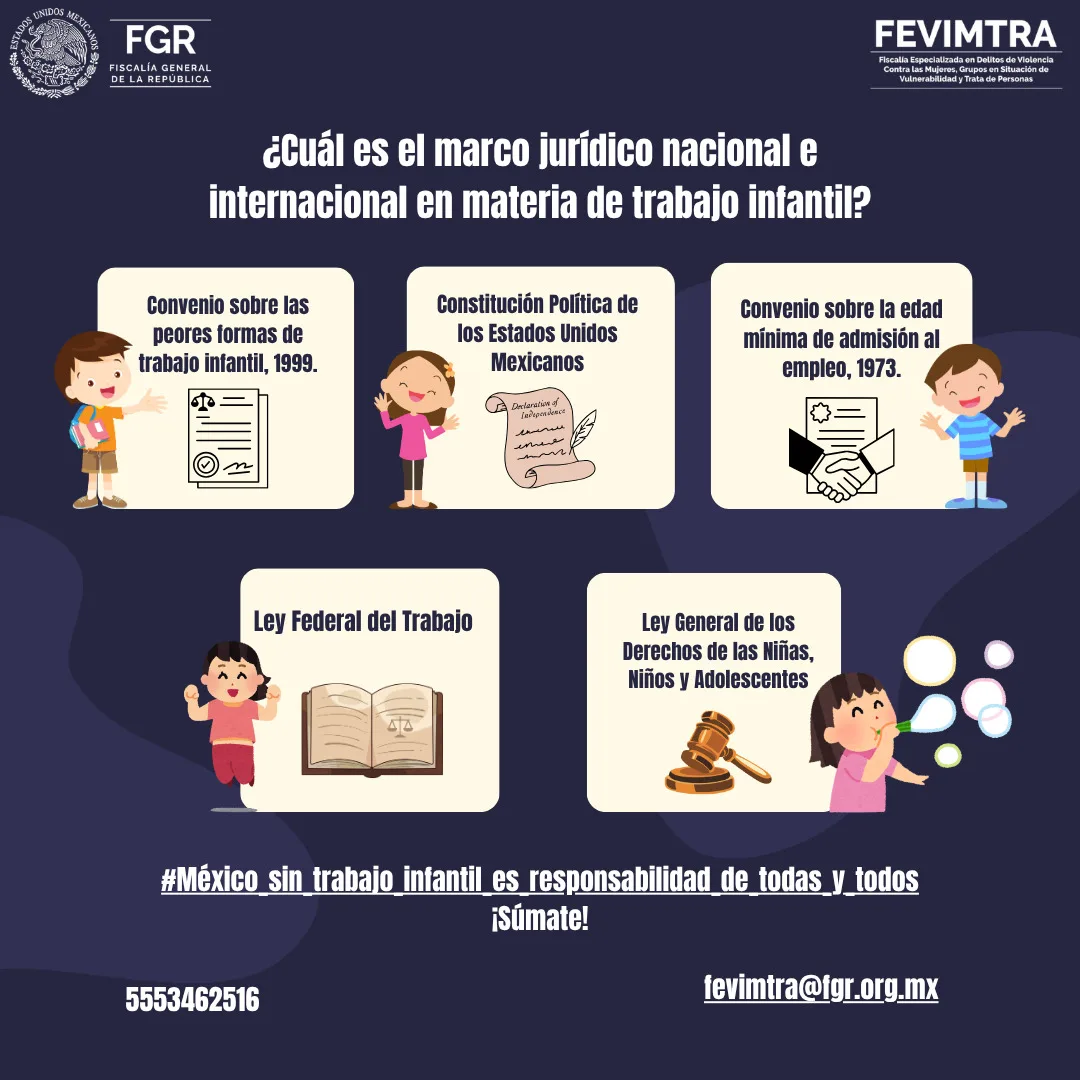 FGR lanza campaña para prevenir el trabajo infantil en México con motivo del Día Mundial - imagen 2