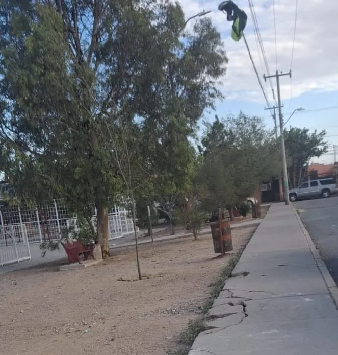 Cuadrillas de Limpia retiran basura acumulada en parque de la colonia Morelos IV en Juárez - imagen 3