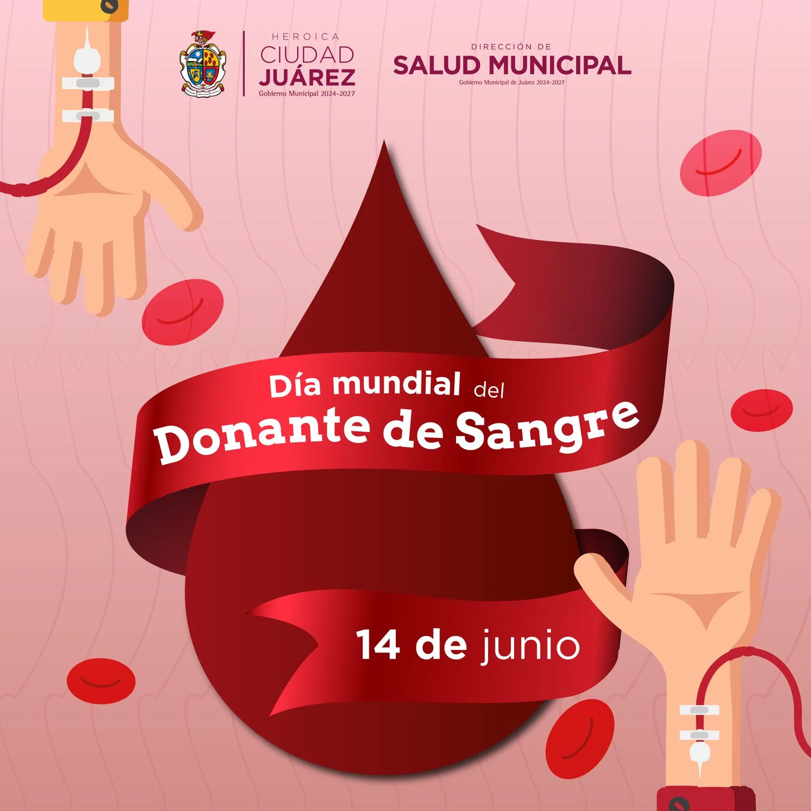 Día Mundial del Donante de Sangre: Salud Municipal destaca la importancia de la donación voluntaria