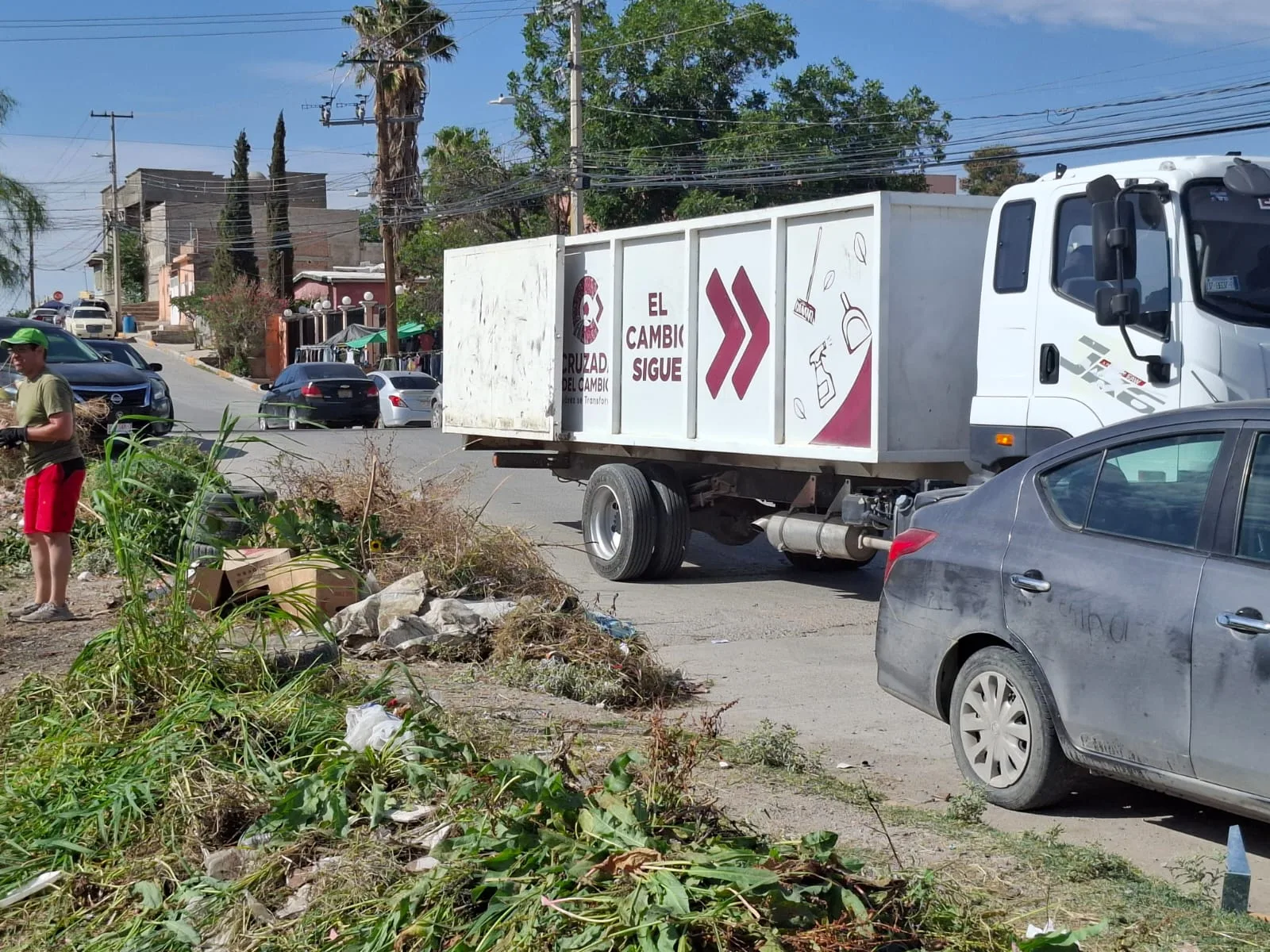 Comerciantes y ciudadanos participan en limpieza y reforestación en Mercado Libertad de Juárez - imagen 6