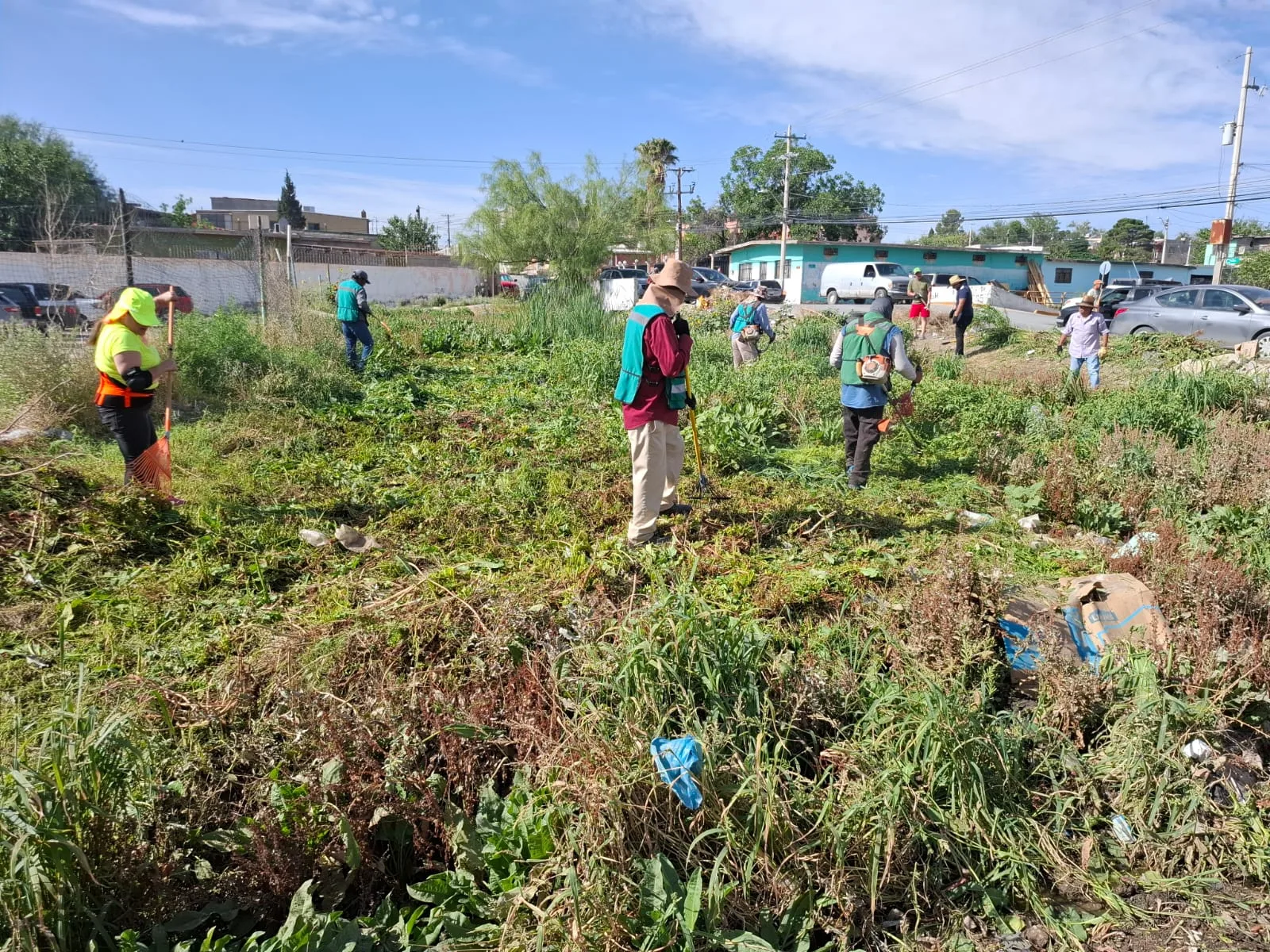 Comerciantes y ciudadanos participan en limpieza y reforestación en Mercado Libertad de Juárez - imagen 9