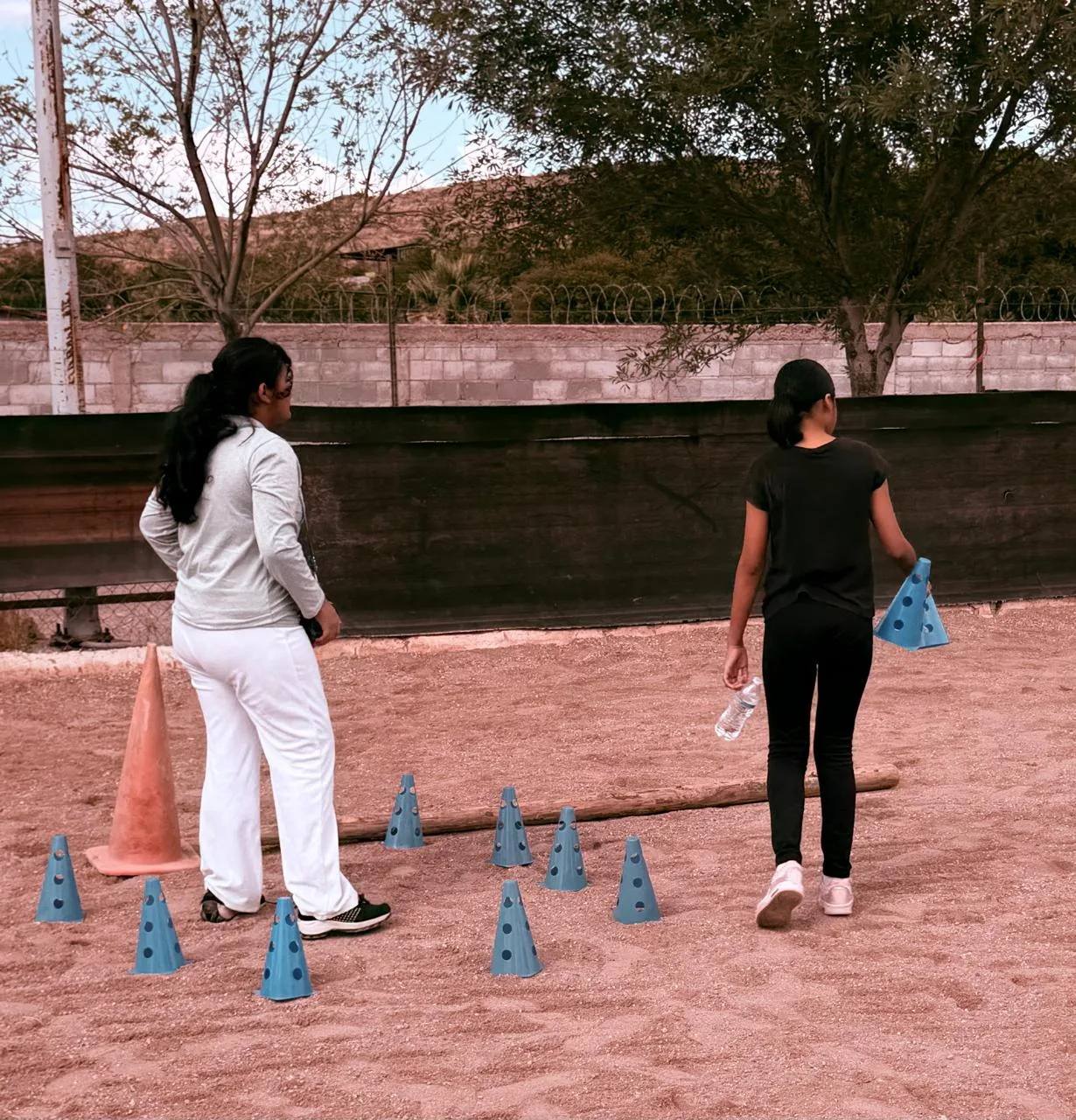Fiscalía de Chihuahua impulsa terapia con caballos para atender a víctimas de delitos - imagen 3