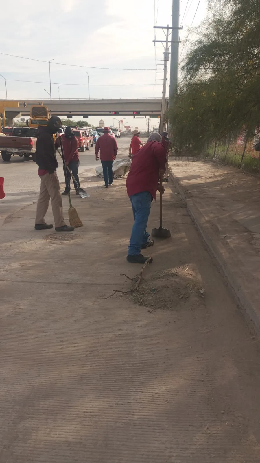 Dirección de Limpia intensifica labores en avenidas principales para mejorar imagen urbana en San Luis Potosí - imagen 2